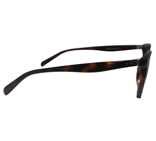 CL 41067/S Brown Tortoise Sunglasses
